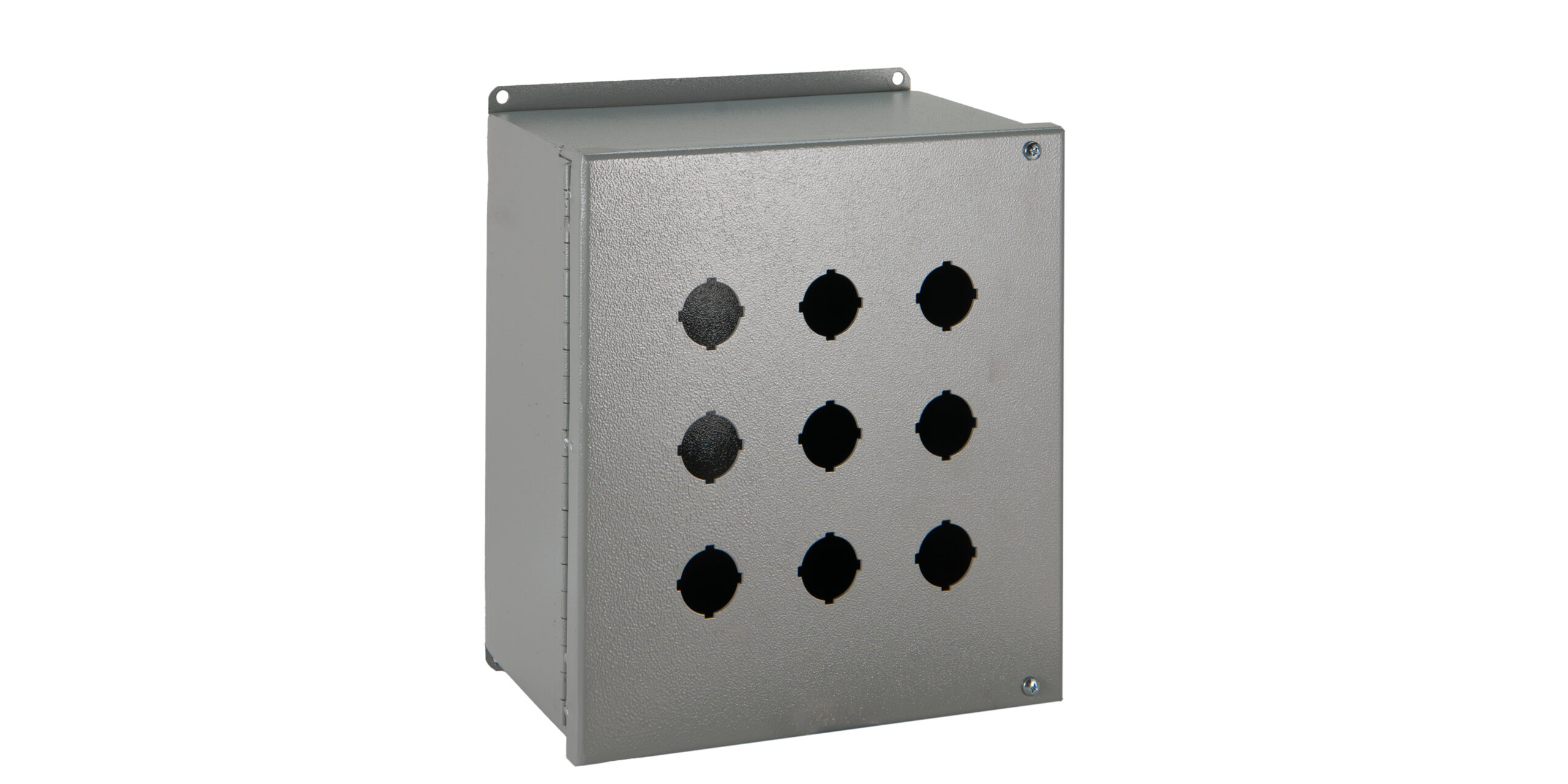 TYPE 12 PAINTED XL PUSH BUTTON ENCLOSURE W/HINGED COVER & PANEL