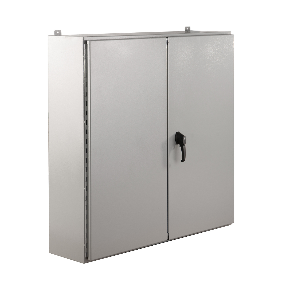 TYPE 12 PAINTED DOUBLE DOOR WALL MOUNT ENCLOSURE