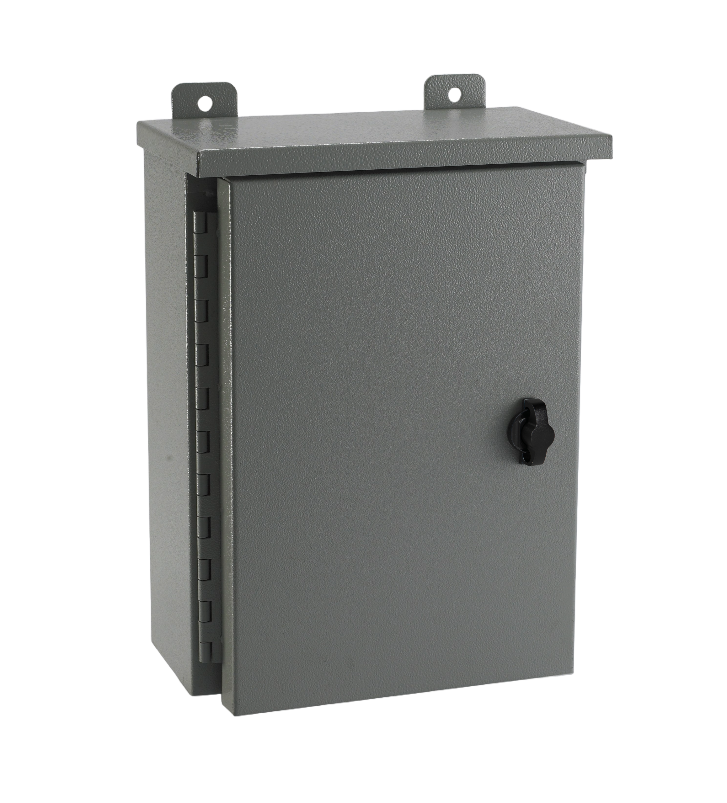 TYPE 3R PAINTED HINGED COVER ENCLOSURE WITH PADLOCKING WING KNOB